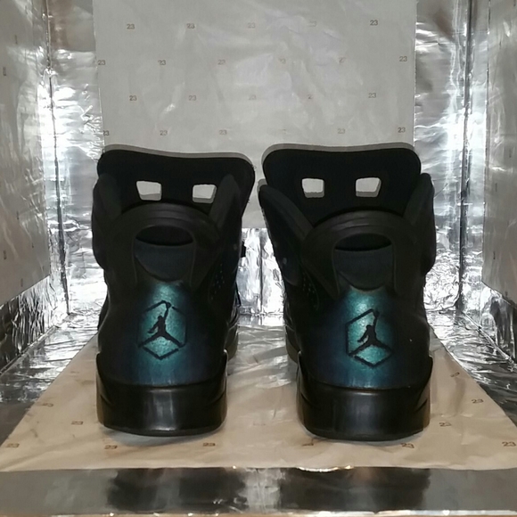 Jordan 6 'Chameleon' - Picture 5 of 7